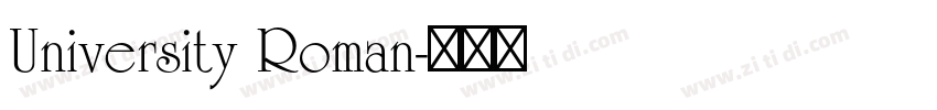 University Roman字体转换